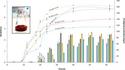 Native Production of Prodigiosin in the Estuarine Bacterium, Vibrio gazogenes PB1, and Identification of the Associated pig Genes